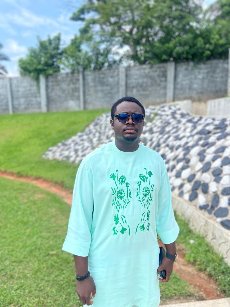 Data Analysis Mentor